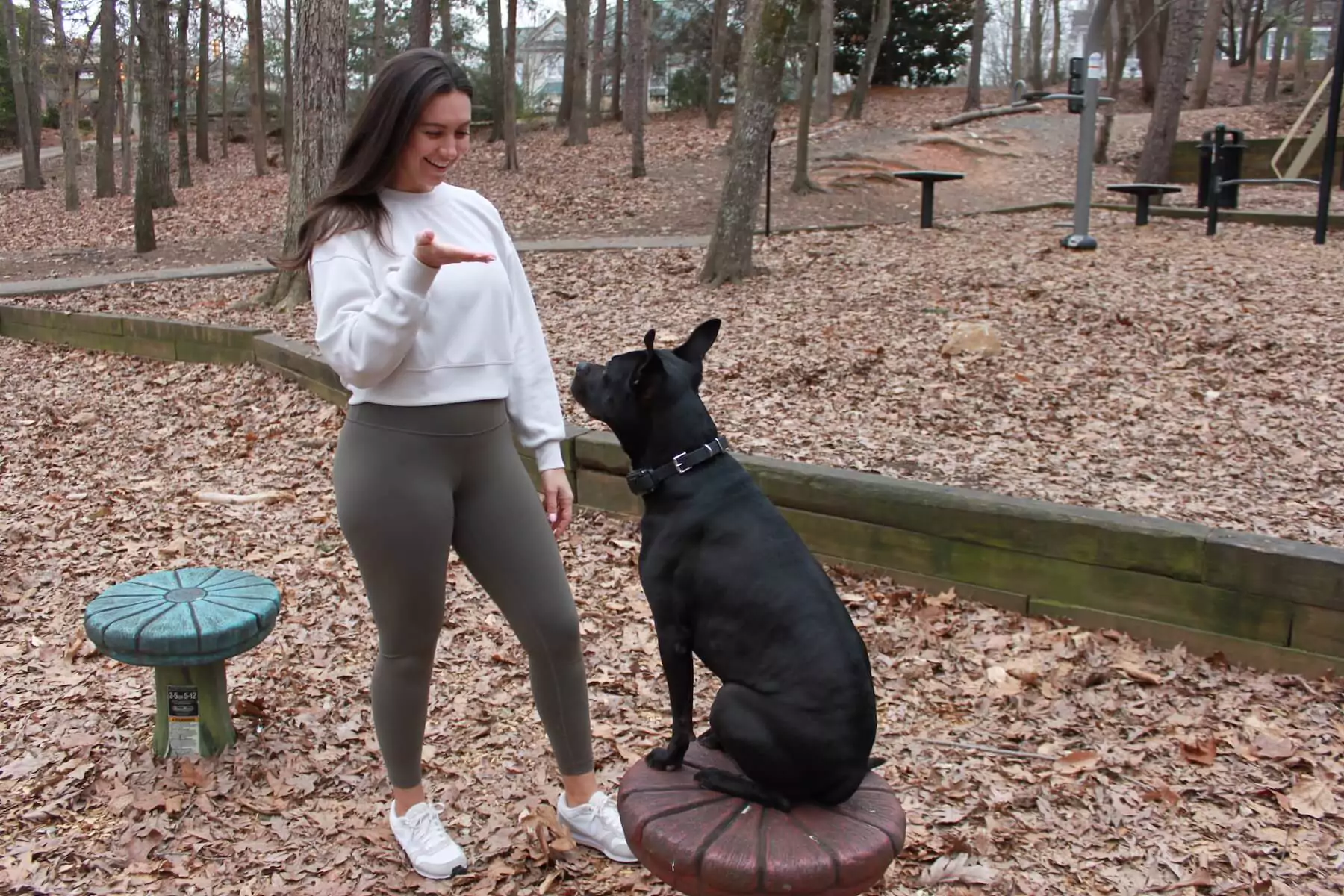 Nicole, the lead trainer from Carolina Dogs, training a dog to sit.